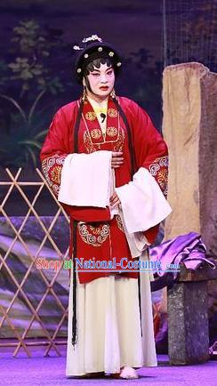 Chinese Cantonese Opera Elderly Female Garment Costumes and Headdress Traditional Guangdong Opera Apparels Dame Dress