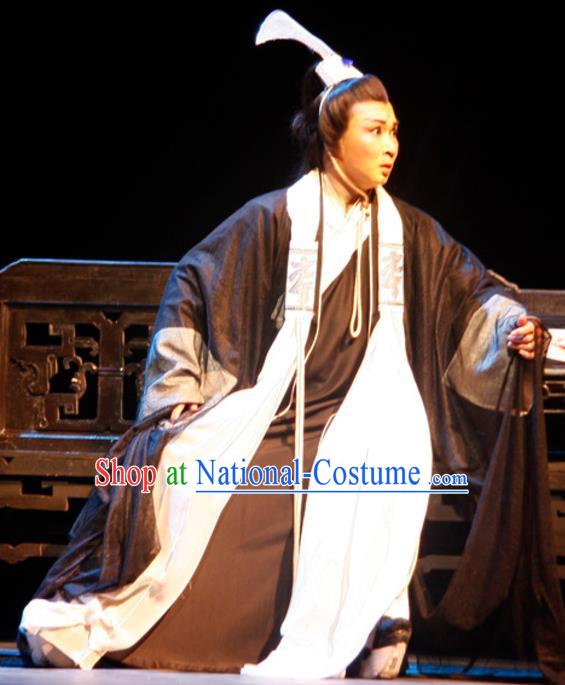 Chinese Traditional Ming Dynasty Scholar Apparels Costumes Historical Drama Ancient Gifted Youth Garment Wen Zhong Clothing and Headwear