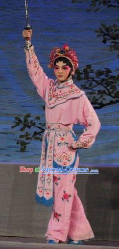 Chinese Cantonese Opera Swordswoman Garment Fan Lihua Return Tang Costumes and Headdress Traditional Guangdong Opera Wudan Apparels Martial Female Pink Dress