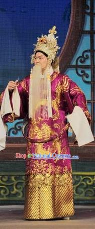 Fan Lihua Return Tang Chinese Guangdong Opera Elderly Male Apparels Costumes and Headwear Traditional Cantonese Opera Duke Garment Lord Clothing