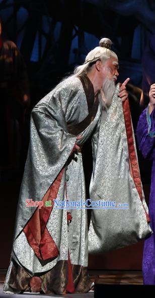 Chinese Traditional Han Dynasty Minister Clothing Stage Performance Historical Drama King of Nanyue Elderly Male Apparels Costumes Ancient Envoy Lu Jia Garment and Headwear