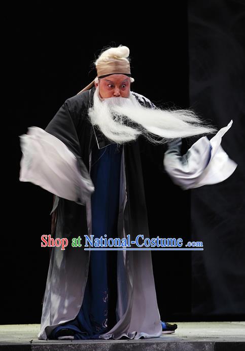 Cao Min Song Shijie Chinese Sichuan Opera Civilian Apparels Costumes and Headpieces Peking Opera Highlights Old Scholar Garment Elderly Male Clothing