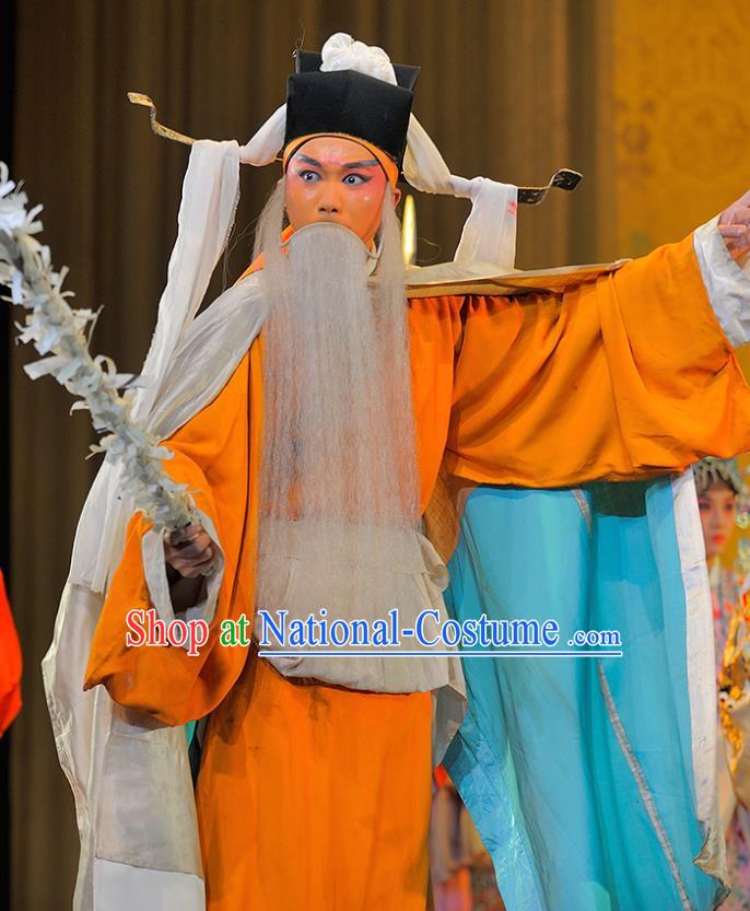 Sui Chao Luan Chinese Sichuan Opera Laosheng Apparels Costumes and Headpieces Peking Opera Highlights Garment Elderly Male Wu Jianzhang Clothing