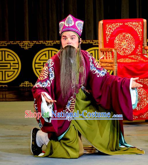 Chinese Sichuan Opera Laosheng Apparels Costumes and Headpieces Peking Opera Highlights Elderly Male Garment Landlord Li Qi Clothing