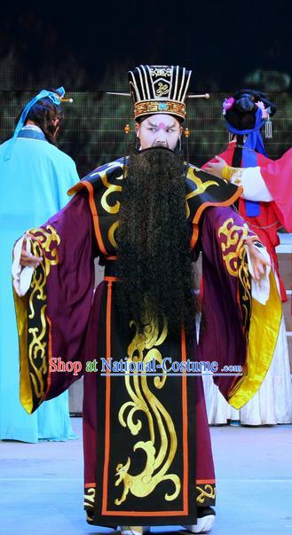 Fu Gui Rong Hua Chinese Sichuan Opera Official Apparels Costumes and Headpieces Peking Opera Highlights Laosheng Garment Elderly Male Clothing