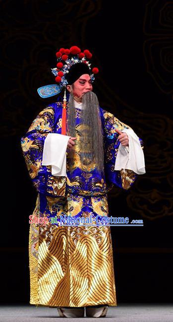 Dan Dao Hui Chinese Sichuan Opera Laosheng Apparels Costumes and Headpieces Peking Opera Highlights Elderly Male Garment Official Lu Su Clothing