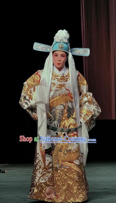 The Romance of Hairpin Chinese Sichuan Opera Scholar Wang Shipeng Apparels Costumes and Headpieces Peking Opera Highlights Niche Garment Official Clothing