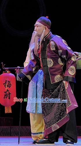 Legend of Chen Mapo Chinese Sichuan Opera Old Man Apparels Costumes and Headpieces Peking Opera Highlights Landlord Garment Patriarch Clothing