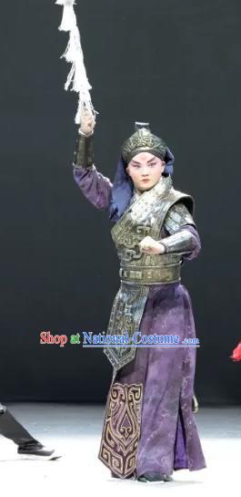 Luo Xiahong Chinese Sichuan Opera General Apparels Costumes and Headpieces Peking Opera Highlights Wusheng Garment Soldier Clothing