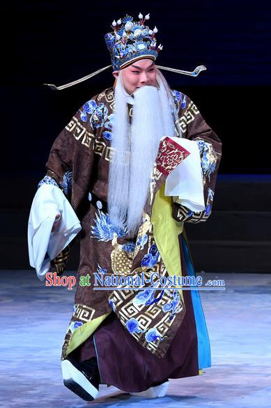 Xue Gang Fan Tang Chinese Bangzi Opera Minister Apparels Costumes and Headpieces Traditional Hebei Clapper Opera Official Xu Ce Garment Laosheng Clothing