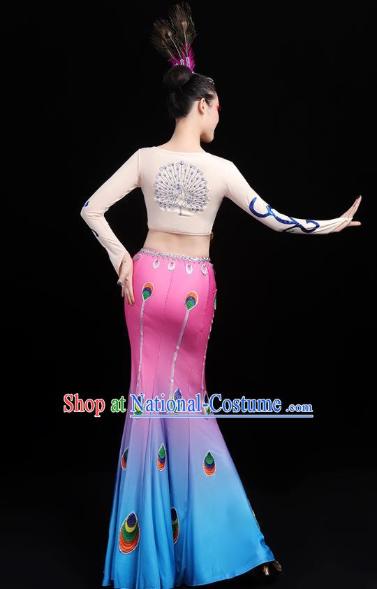 Chinese Traditional Dai Ethnic Dance Costumes Folk Dance Apparels Minority Peacock Dance Blouse and Skirt for Women