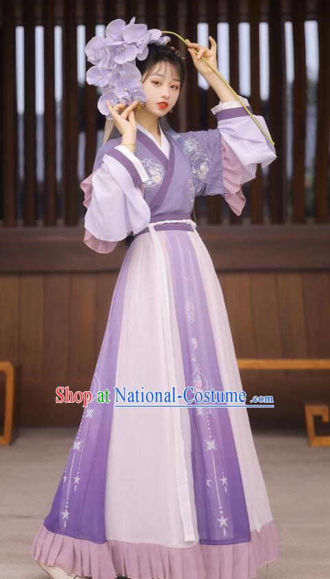 Top Chinese Jin Dynasty Princess Costumes Traditional Hanfu Dress Ancient Young Lady Half Sleeve Garment Blouse and Skirt Full Set