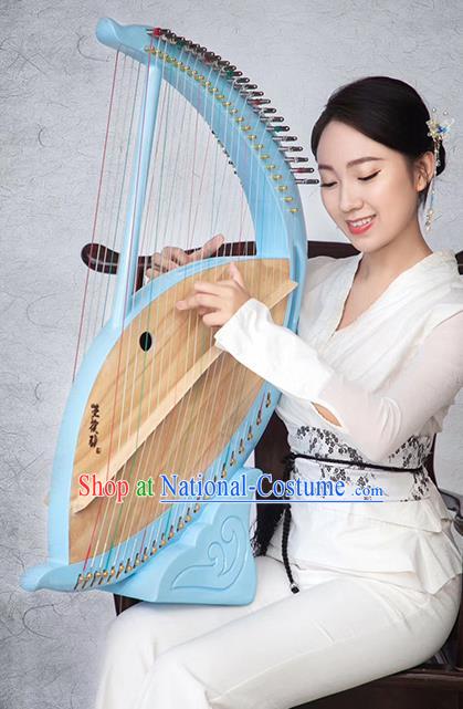 Chinese Traditional Musical Instruments China Ancient Konghou 46 Strings Blue Chinese Harp String Instrument