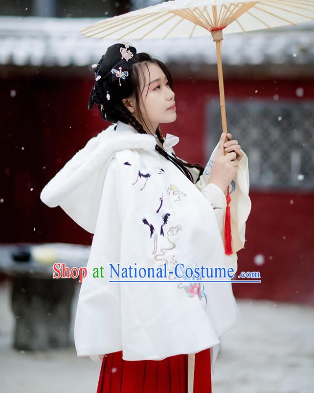 Chinese Ming Dynasty Princess Costumes Traditional Hanfu Garment Ancient Embroidered Crane White Short Cloak for Women