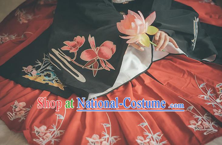 Traditional China Ming Dynasty Historical Clothing Ancient Noble Woman Embroidered Costumes