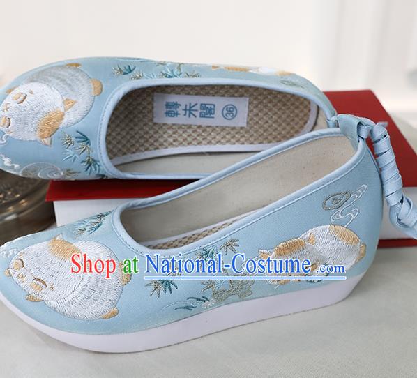 Chinese Ancient Princess Shoes Embroidered Blue Shoes Traditional Ming Dynasty Shoes