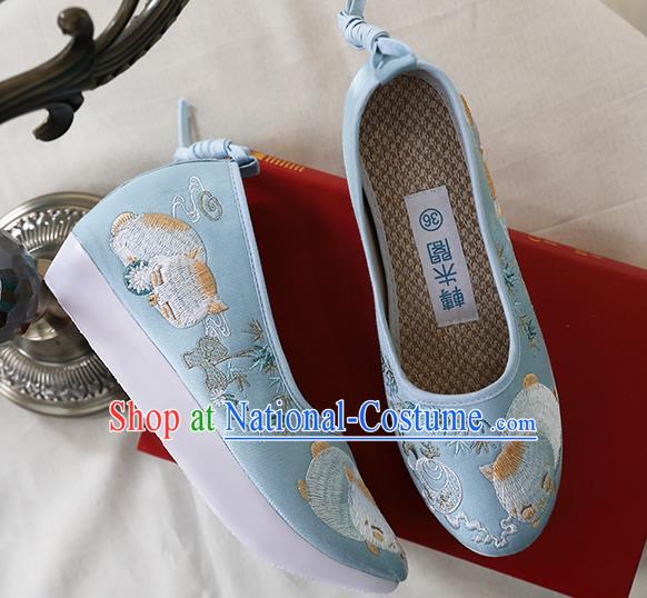 Chinese Ancient Princess Shoes Embroidered Blue Shoes Traditional Ming Dynasty Shoes