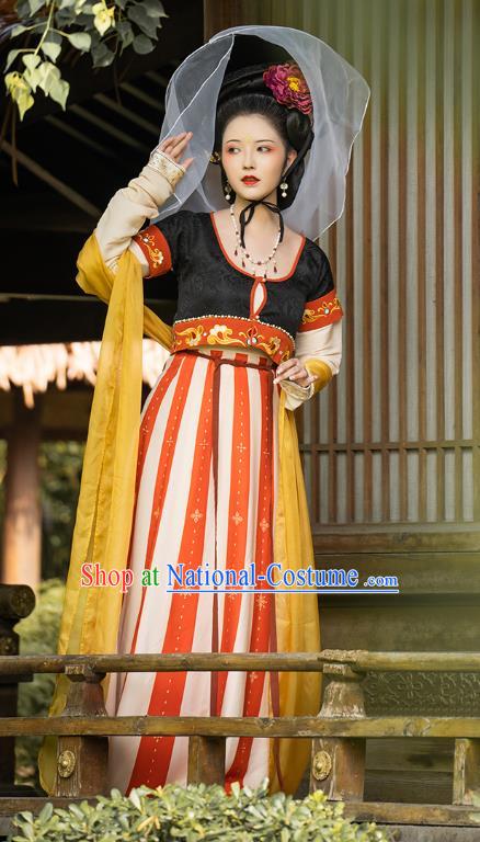 China Traditional Tang Dynasty Royal Princess Gao Yang Historical Clothing Ancient Palace Infanta Embroidered Hanfu Dress