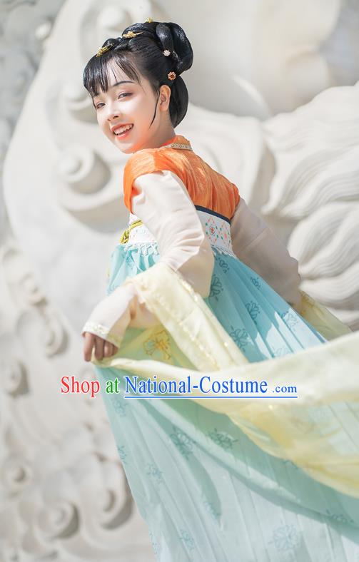 China Ancient Palace Infanta Hanfu Dress Traditional Tang Dynasty Royal Princess Tai Ping Historical Clothing