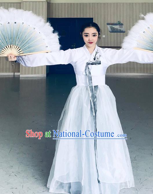 Chinese Classical Dance Clothing Traditional Korean Nationality Dance White Blouse and Dress Complete Set