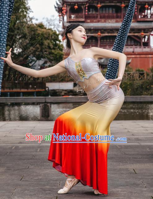 China Traditional Dai Nationality Folk Dance Clothing Ethnic Women Peacock Dance Red Dress Outfits