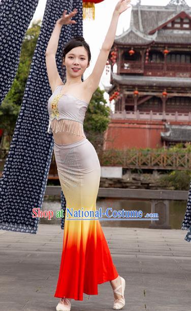 China Traditional Dai Nationality Folk Dance Clothing Ethnic Women Peacock Dance Red Dress Outfits