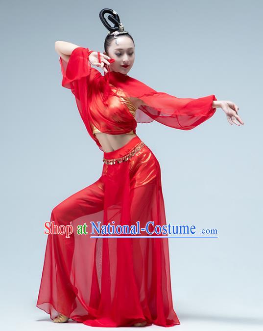 Traditional China Classical Dance Red Outfits Fan Dance Stage Performance Costume