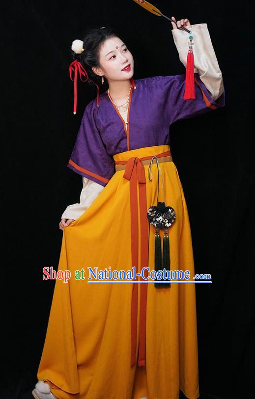 China Traditional Tang Dynasty Maid Lady Historical Clothing Ancient Servant Girl Hanfu Dress