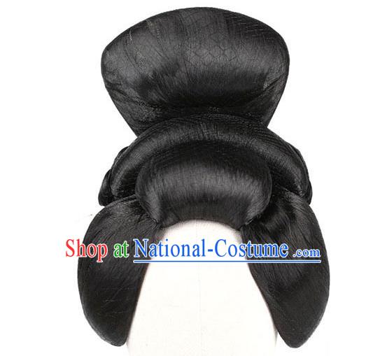 Chinese Classical Dance Du Fu Wigs Chignon Ancient Tang Dynasty Beauty Li Ren Xing Dance Headdress