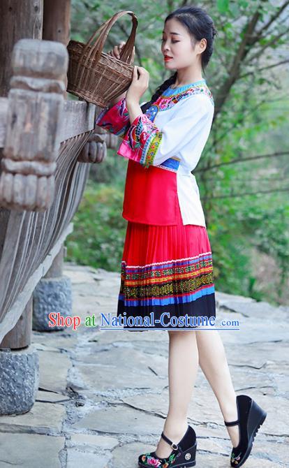 Chinese Miao Nationality Young Lady Clothing Hmong Ethnic Folk Dance Costumes