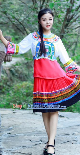 Chinese Miao Nationality Young Lady Clothing Hmong Ethnic Folk Dance Costumes