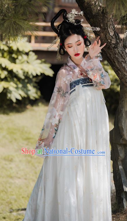 Traditional China Tang Dynasty Imperial Concubine Embroidered Costumes Ancient Court Beauty Hanfu Dress Clothing