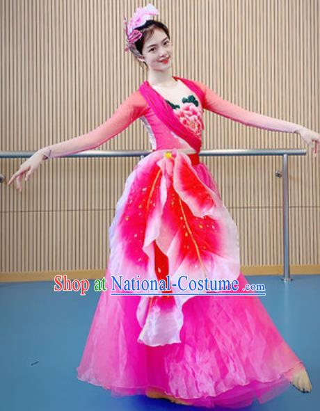 China Modern Dance Costume Opening Dance Stage Performance Rosy Dress