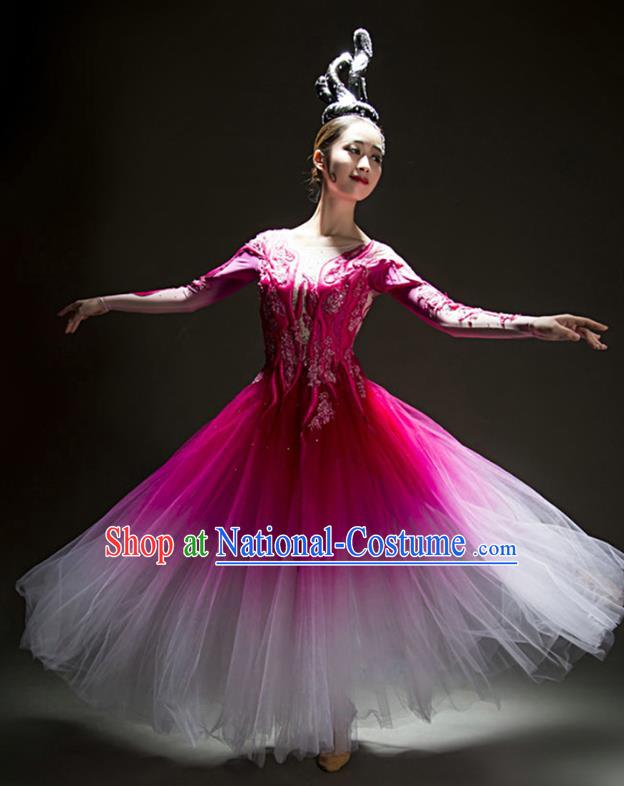 China Modern Dance Stage Performance Rosy Veil Dress Woman Solo Dance Costume