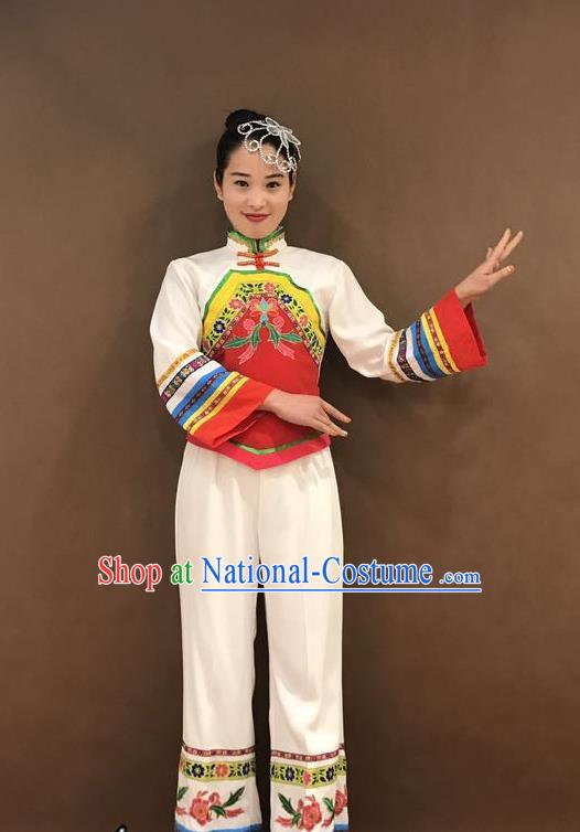 China Folk Dance Stage Performance Costume Yangko Dance Clothing