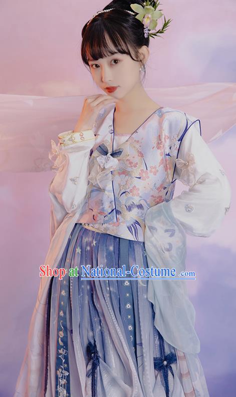 China Ancient Young Beauty Hanfu Dress Clothing Traditional Tang Dynasty Palace Lady Replica Costumes