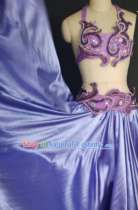 Indian Belly Dance Sexy Purple Outfits Traditional Asian Oriental Dance Competition Bra and Skirt Clothing