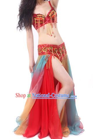 Traditional India Raks Sharki Belly Dance Outfits Asian Indian Oriental Dance Performance Red Clothing