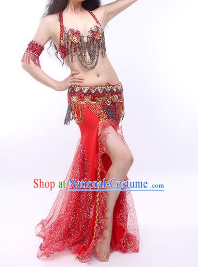 India Oriental Dance Bra and Skirt Outfits Traditional Asian Indian Belly Dance Stage Performance Red Clothing