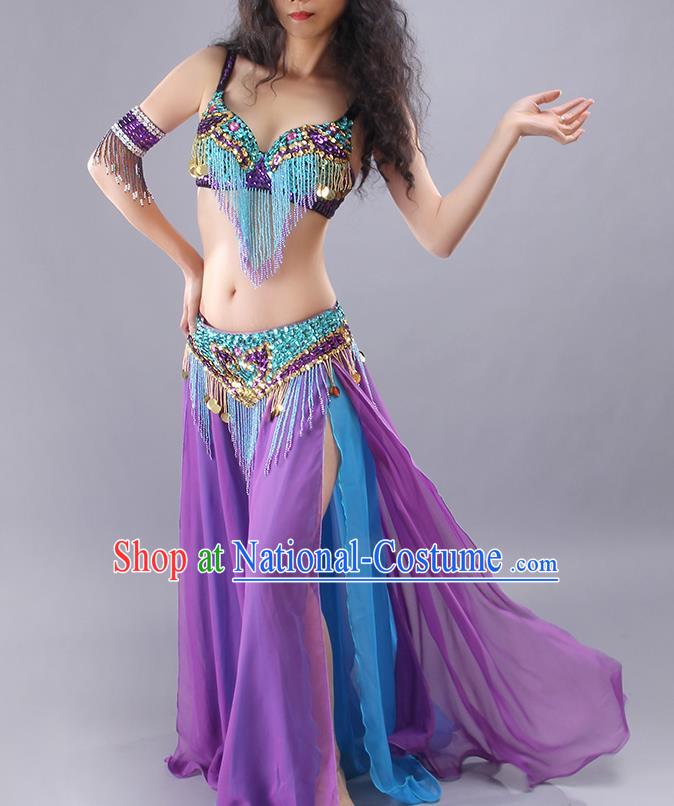 Traditional Asian Indian Belly Dance Clothing India Raks Sharki Tassel Bra and Purple Skirt Outfits