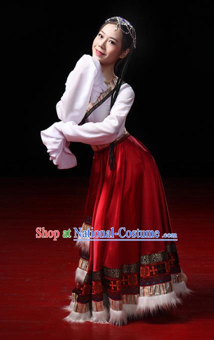 China Traditional Zang Ethnic Dance Clothing Tibetan Nationality Stage Performance Dress Outfits