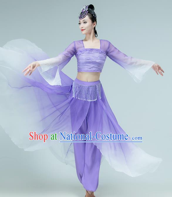 Professional Chinese Classical Dance Performance Clothing Fan Dance Violet Outfits