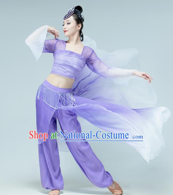 Professional Chinese Classical Dance Performance Clothing Fan Dance Violet Outfits