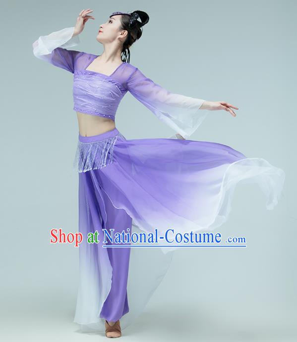 Professional Chinese Classical Dance Performance Clothing Fan Dance Violet Outfits