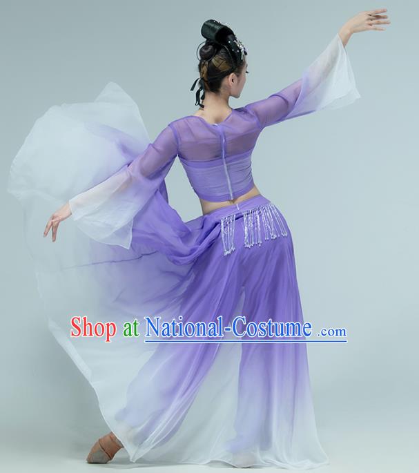 Professional Chinese Classical Dance Performance Clothing Fan Dance Violet Outfits