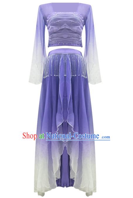 Professional Chinese Classical Dance Performance Clothing Fan Dance Violet Outfits