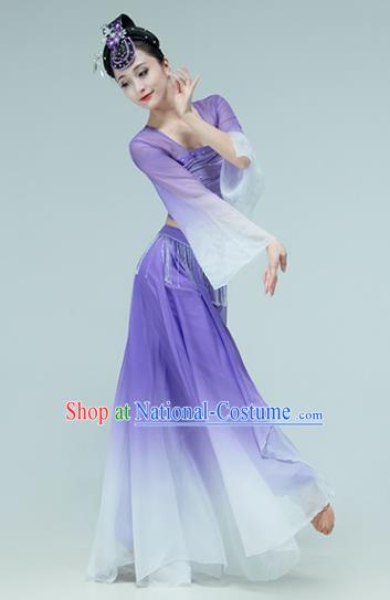 Professional Chinese Classical Dance Performance Clothing Fan Dance Violet Outfits