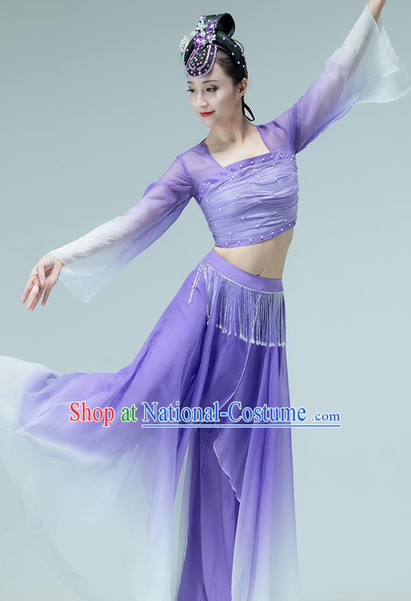 Professional Chinese Classical Dance Performance Clothing Fan Dance Violet Outfits