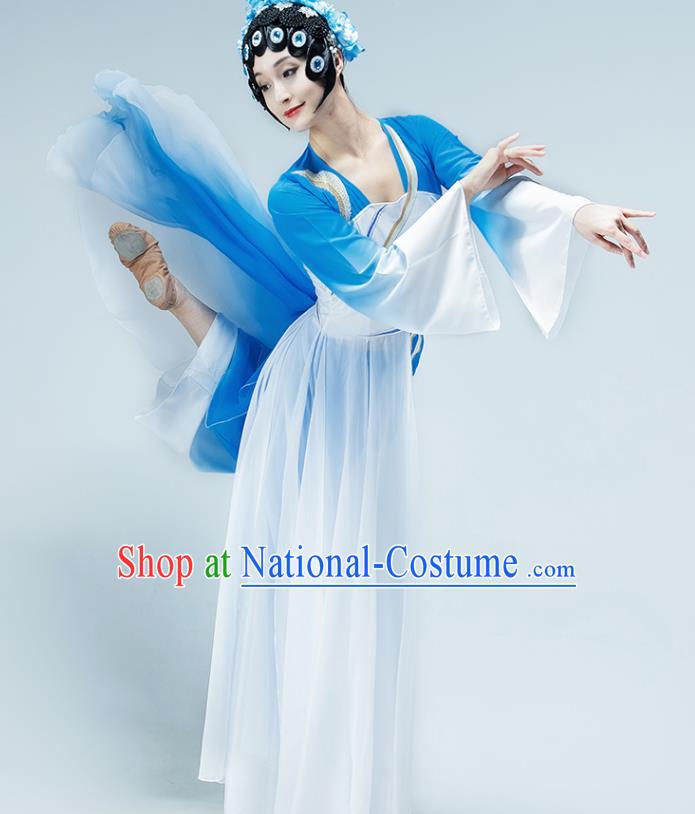 Chinese Beijing Opera Dance Blue Dress Classical Dance Stage Performance Clothing