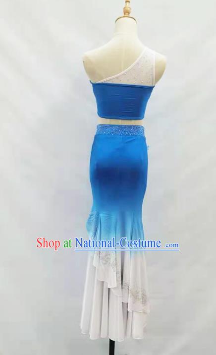 Chinese Dai Ethnic Folk Dance Blue Outfits Traditional Yunnan Nationality Peacock Dance Clothing